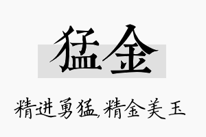 猛金名字的寓意及含义