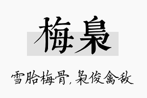 梅枭名字的寓意及含义