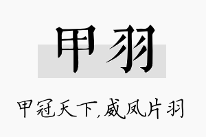 甲羽名字的寓意及含义