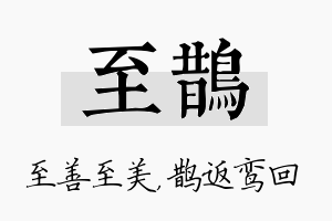 至鹊名字的寓意及含义