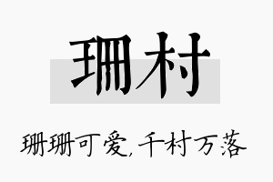 珊村名字的寓意及含义