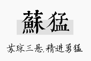 苏猛名字的寓意及含义