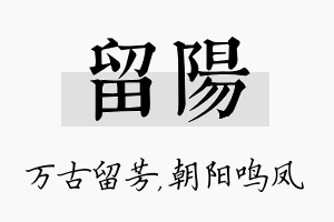 留阳名字的寓意及含义