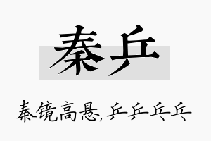 秦乒名字的寓意及含义