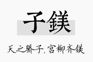 子镁名字的寓意及含义