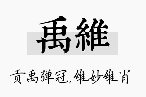 禹维名字的寓意及含义