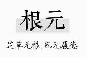 根元名字的寓意及含义