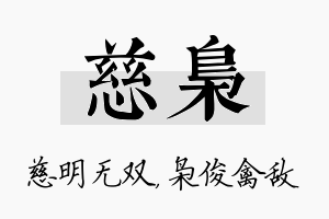 慈枭名字的寓意及含义