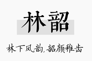 林韶名字的寓意及含义