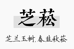 芝菘名字的寓意及含义