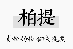 柏提名字的寓意及含义