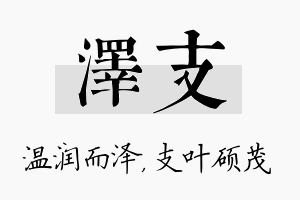 泽支名字的寓意及含义