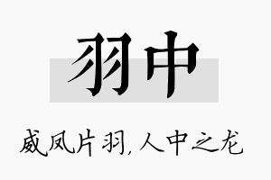 羽中名字的寓意及含义