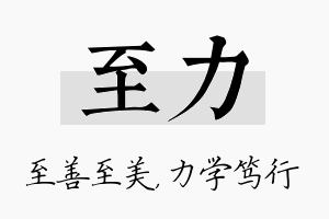 至力名字的寓意及含义