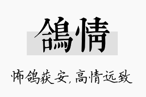 鸽情名字的寓意及含义