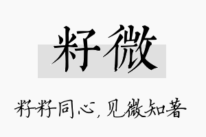 籽微名字的寓意及含义