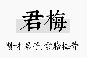 君梅名字的寓意及含义