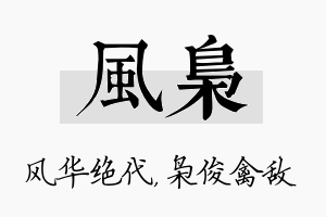 风枭名字的寓意及含义