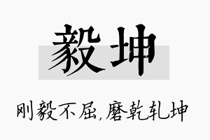 毅坤名字的寓意及含义