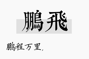 鹏飛名字的寓意及含义