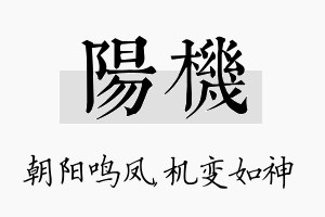 阳机名字的寓意及含义