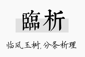 临析名字的寓意及含义