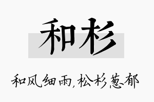 和杉名字的寓意及含义