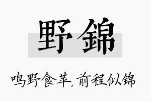 野锦名字的寓意及含义