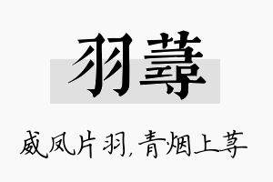 羽荨名字的寓意及含义