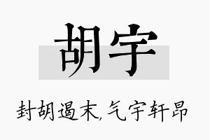 胡宇名字的寓意及含义