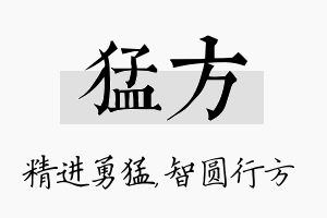 猛方名字的寓意及含义