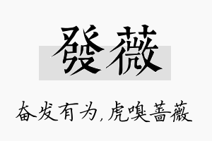 发薇名字的寓意及含义