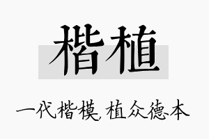 楷植名字的寓意及含义