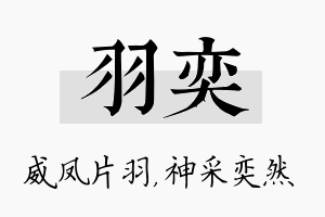 羽奕名字的寓意及含义