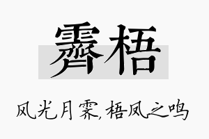 霁梧名字的寓意及含义