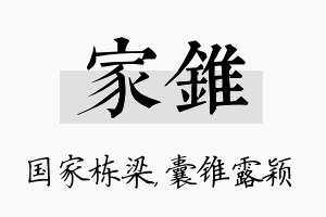 家锥名字的寓意及含义