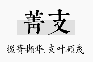 菁支名字的寓意及含义