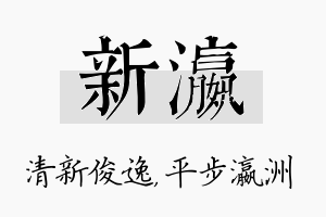 新瀛名字的寓意及含义