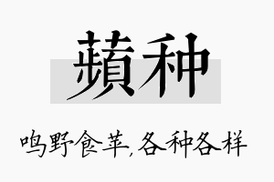 苹种名字的寓意及含义