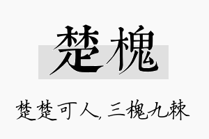 楚槐名字的寓意及含义