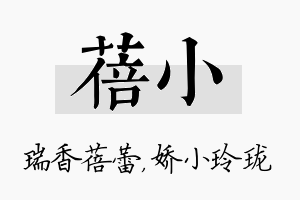 蓓小名字的寓意及含义