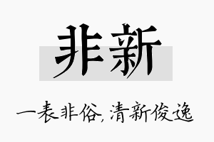 非新名字的寓意及含义