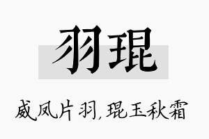 羽琨名字的寓意及含义