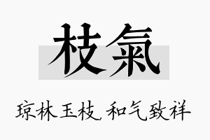 枝气名字的寓意及含义