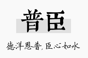 普臣名字的寓意及含义