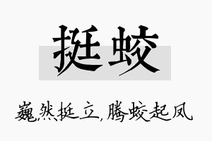 挺蛟名字的寓意及含义