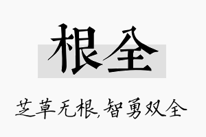 根全名字的寓意及含义