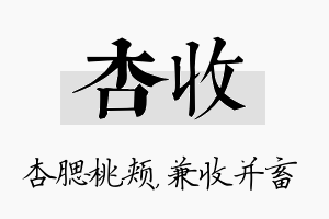 杏收名字的寓意及含义