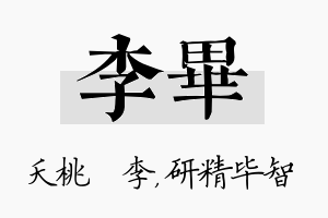 李毕名字的寓意及含义