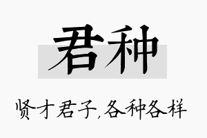 君种名字的寓意及含义